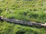 image of grave number 477987